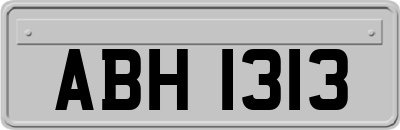 ABH1313