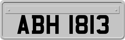 ABH1813
