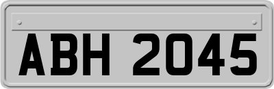 ABH2045