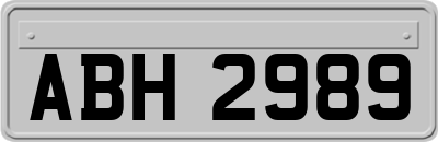 ABH2989