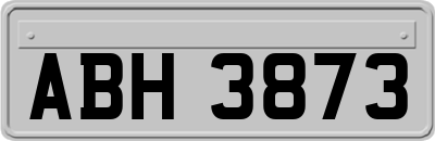 ABH3873