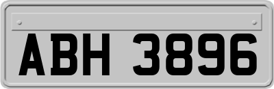 ABH3896