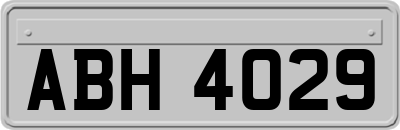 ABH4029