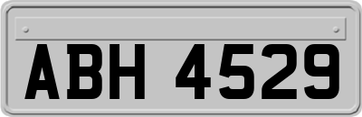 ABH4529