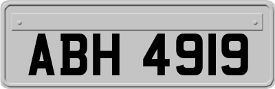 ABH4919