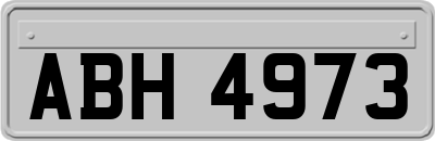 ABH4973