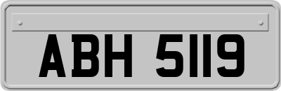 ABH5119