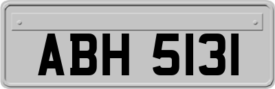ABH5131