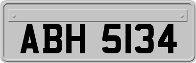 ABH5134