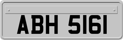 ABH5161