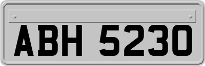 ABH5230