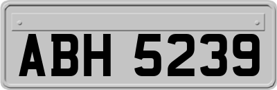 ABH5239