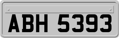 ABH5393