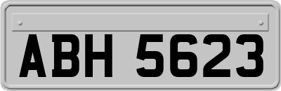 ABH5623