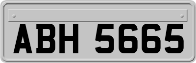 ABH5665