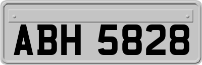 ABH5828