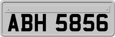 ABH5856