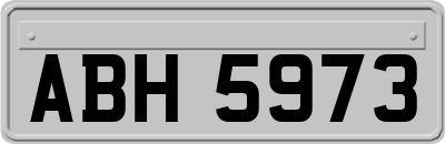 ABH5973