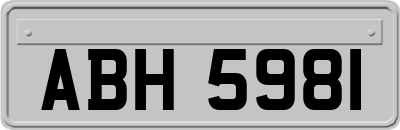 ABH5981