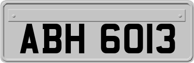 ABH6013