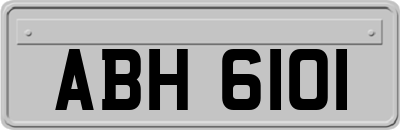 ABH6101