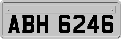 ABH6246