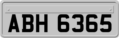 ABH6365
