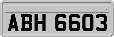 ABH6603
