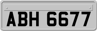 ABH6677