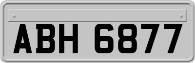 ABH6877