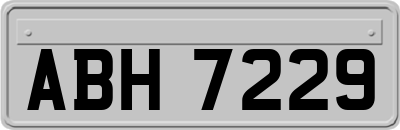 ABH7229