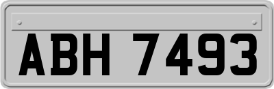 ABH7493