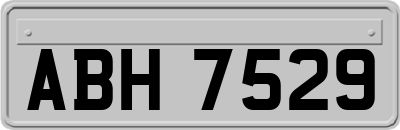ABH7529
