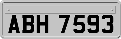 ABH7593