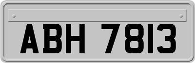 ABH7813