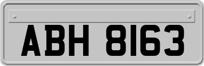 ABH8163