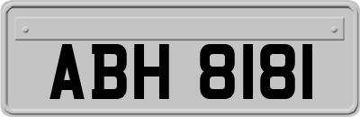 ABH8181