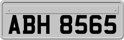 ABH8565