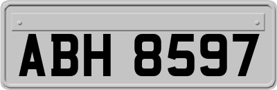 ABH8597