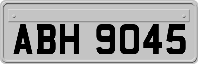 ABH9045