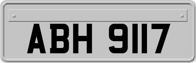 ABH9117