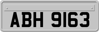 ABH9163