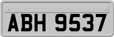 ABH9537
