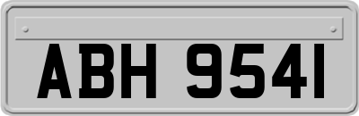 ABH9541