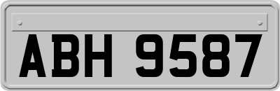 ABH9587