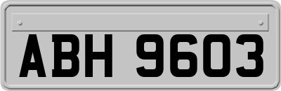 ABH9603