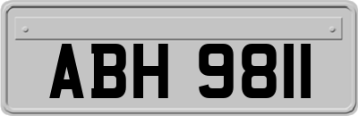ABH9811