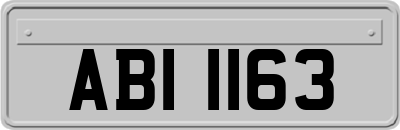 ABI1163