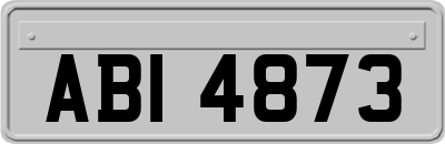 ABI4873