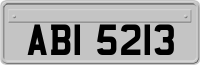 ABI5213